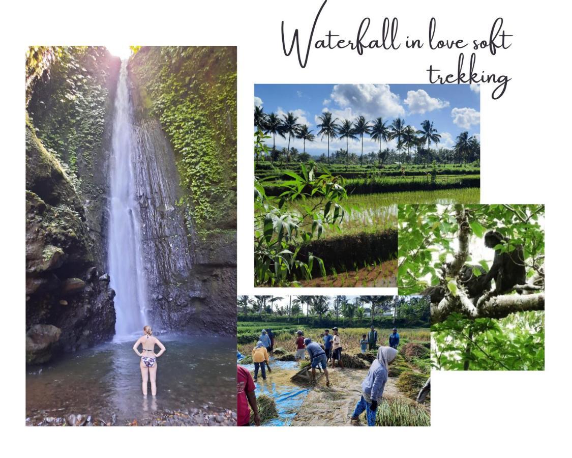 Kembang Kuning Cottages テテバトゥ エクステリア 写真