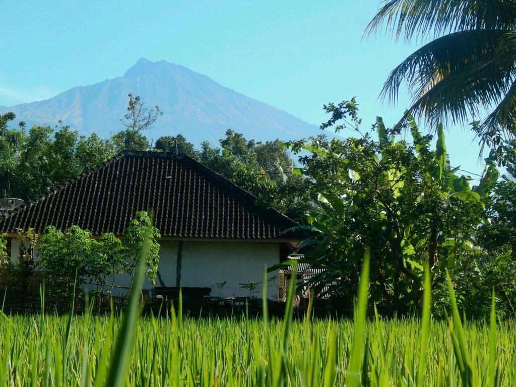 Kembang Kuning Cottages テテバトゥ エクステリア 写真