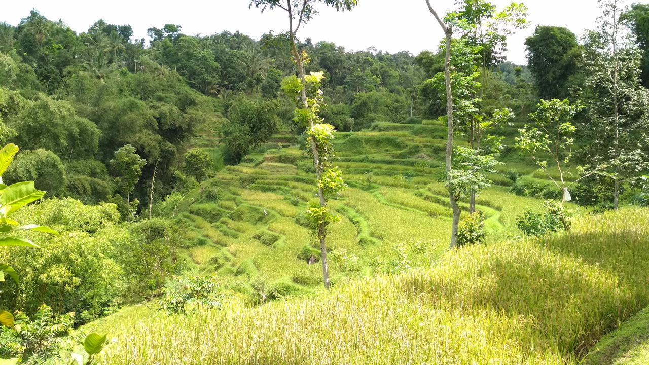 Kembang Kuning Cottages テテバトゥ エクステリア 写真